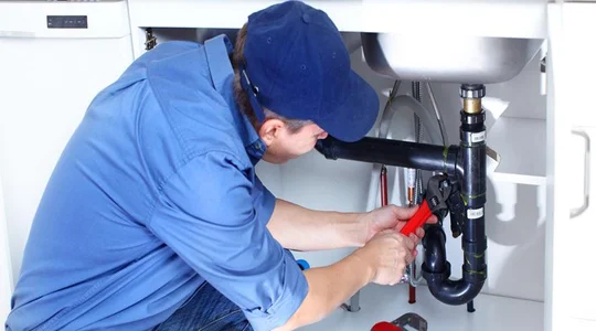 Société de dératisation et désinsectisation à Casablanca et partout au Maroc